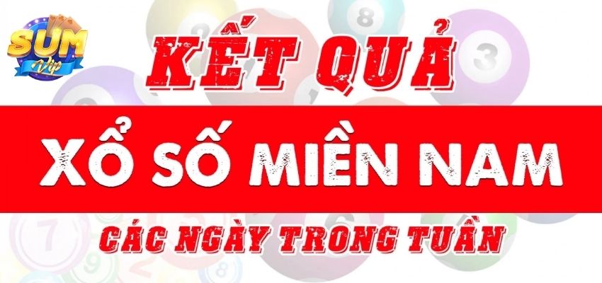 Phân tích và theo dõi cầu lô thường xuyên để chọn ra những con số đẹp có tỷ lệ về cao nhất